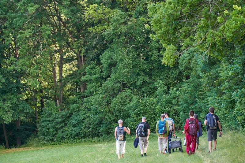 Am Waldrand – Männerseminar 2021